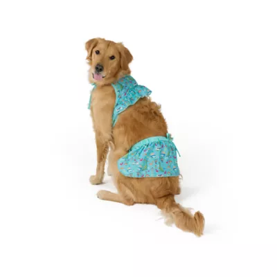 Top Paw® Dino Dog Bikini - Image 1