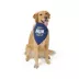 Top Paw® Happy Camper Bandana image thumbnail 1