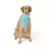 Top Paw® Happy Camper Bandana image thumbnail 2