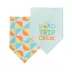 Top Paw® Roadtrip Crew Bandana image thumbnail 3