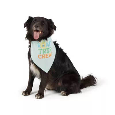 Top Paw® Roadtrip Crew Bandana - Image 1