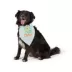 Top Paw® Roadtrip Crew Bandana image thumbnail 1