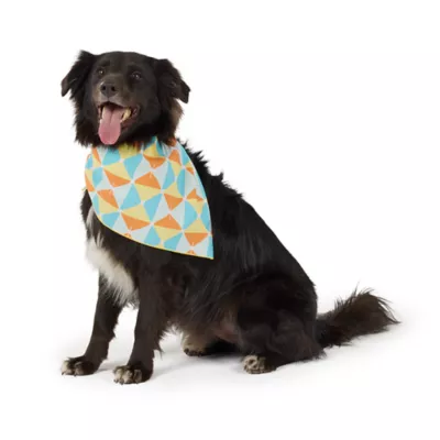 Top Paw® Roadtrip Crew Bandana - Image 2