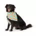 Top Paw® Roadtrip Crew Bandana image thumbnail 2