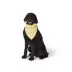 Top Paw Alien Bandana image thumbnail 1