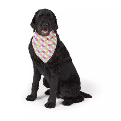 Top Paw Alien Bandana - Image 2