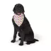 Top Paw Alien Bandana image thumbnail 2