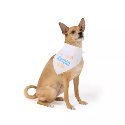 Top Paw® Happy Birthday Bandana - Image 1