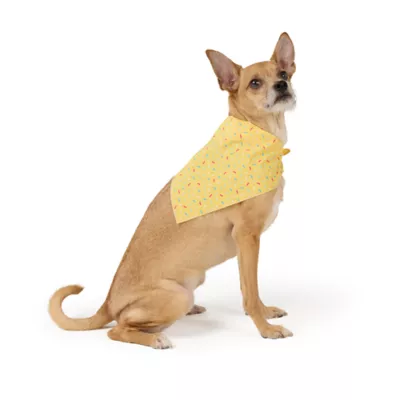 Top Paw® Happy Birthday Bandana - Image 2