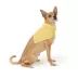 Top Paw® Happy Birthday Bandana image thumbnail 2