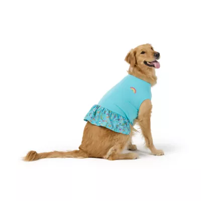 Top Paw® Dino Dog Dress - Image 1