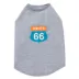 Top Paw® Route 66 T-Shirt image thumbnail 2