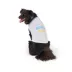 Top Paw® Happy Birthday T-Shirt image thumbnail 1
