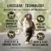 Purina Pro Plan LiveClear Adult 7+ Prime Plus Chicken and Rice Formula Dry Cat Food image thumbnail 4
