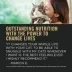 Purina Pro Plan LiveClear Adult 7+ Prime Plus Chicken and Rice Formula Dry Cat Food image thumbnail 5