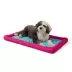 Top Paw® Roadtrip Bolstered Cooling Mat image thumbnail 2