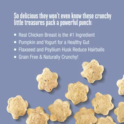 Whole Life® Crunchables Cunchy Cat Treats - Gut and Hairball Support, Chicken, 2 Oz - Image 2