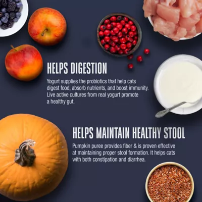 Whole Life® Crunchables Cunchy Cat Treats - Gut and Hairball Support, Chicken, 2 Oz - Image 4