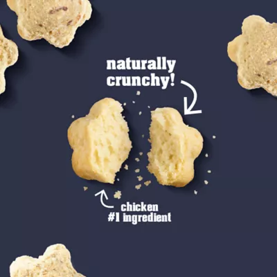 Whole Life® Crunchables Cunchy Cat Treats - Gut and Hairball Support, Chicken, 2 Oz - Image 5