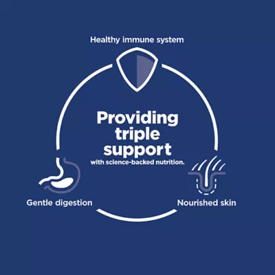 Hill's Science Diet Sensitive Stomach & Skin Adult Dry Dog Food - Salmon & Brown Rice - Image 2