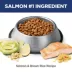 Hill's Science Diet Sensitive Stomach & Skin Adult Dry Dog Food - Salmon & Brown Rice image thumbnail 4