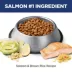 Hill's Science Diet Sensitive Stomach & Skin Adult Dry Dog Food - Salmon & Brown Rice image thumbnail 4