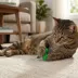 Catstages Squish Prey Fly Cat Toys image thumbnail 6