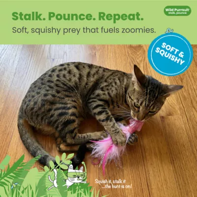 Catstages Squish Prey Squid Cat Toys - Image 2