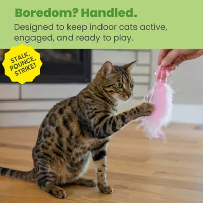 Catstages Squish Prey Squid Cat Toys - Image 4