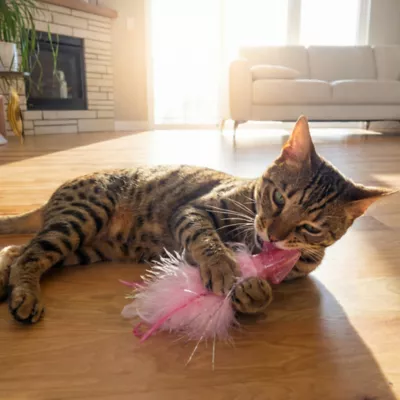 Catstages Squish Prey Squid Cat Toys - Image 5