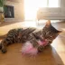 Catstages Squish Prey Squid Cat Toys image thumbnail 5