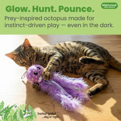 Catstages Octopus Cat Toys - Image 2