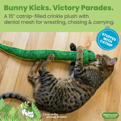 Catstages Snake Kicker Cat Toys - Image 2