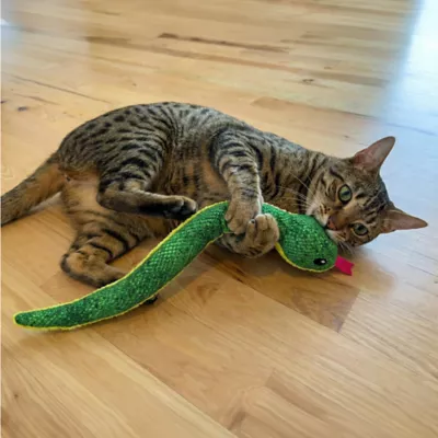 Catstages Snake Kicker Cat Toys - Image 5
