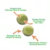 Mewoijuana Kaliko Kush Whack Refill Cat Toy image thumbnail 5
