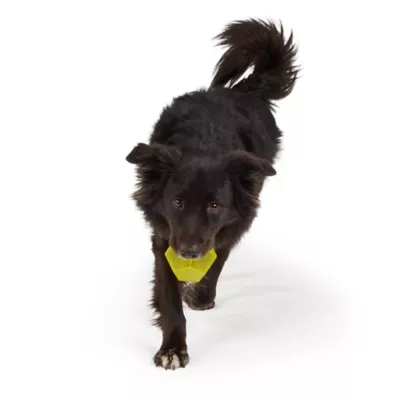 Joyhound® Dodecahedron Dog Toy - Image 3