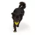 Joyhound® Dodecahedron Dog Toy image thumbnail 3
