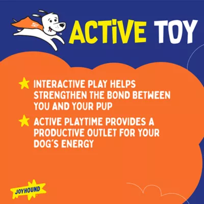 Joyhound® Dodecahedron Dog Toy - Image 4