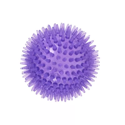 Joyhound® Spikey Ball Dog Toy 3 in - Image 1