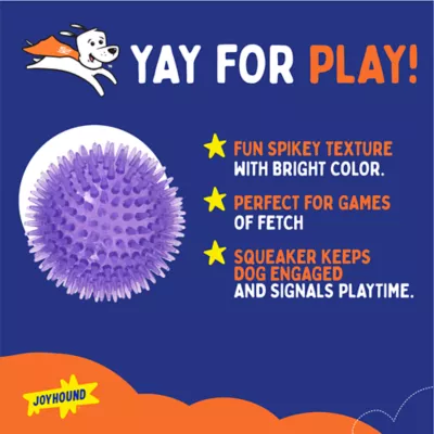 Joyhound® Spikey Ball Dog Toy 3 in - Image 2