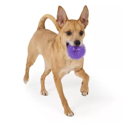 Joyhound® Spikey Ball Dog Toy 3 in - Image 3