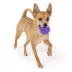 Joyhound® Spikey Ball Dog Toy 3 in image thumbnail 3