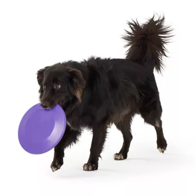 Joyhound® Flyer Dog Toy - Image 3