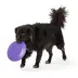 Joyhound® Flyer Dog Toy image thumbnail 3