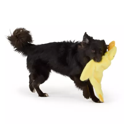 Joyhound Flattie Duck Dog Toy, XL - Image 3