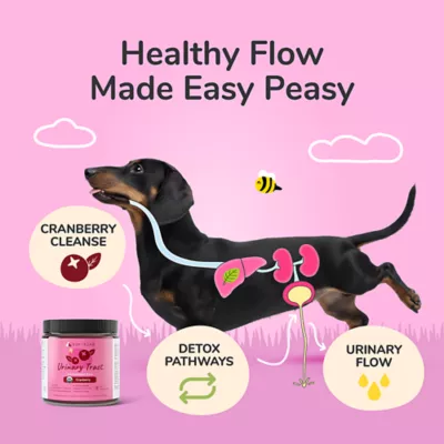 kin+kind Organic Urinary Tract Powder Supplement for Dog & Cat, Cranberry, 4 oz or 8 oz - Image 2