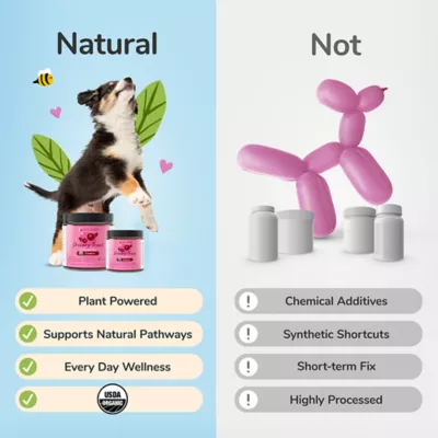 kin+kind Organic Urinary Tract Powder Supplement for Dog & Cat, Cranberry, 4 oz or 8 oz - Image 6