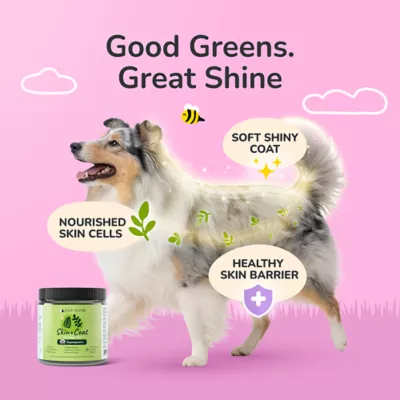 kin+kind Skin & Coat Supplement for Dog & Cat, with Omega-3 & 6, Supports Hydrated Skin, 4 & 8oz jar - Image 2