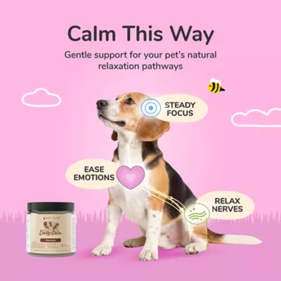 kin+kind Daily Calm Supplement for Dog & Cat, Calm & Relaxation Support, with Chamomile, 4 & 8oz jar - Image 2