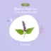 kin + kind Pet Smell Coat Spray Conditioner W/ Advanced Plant technology for Dogs, Patchouli Scent image thumbnail 5